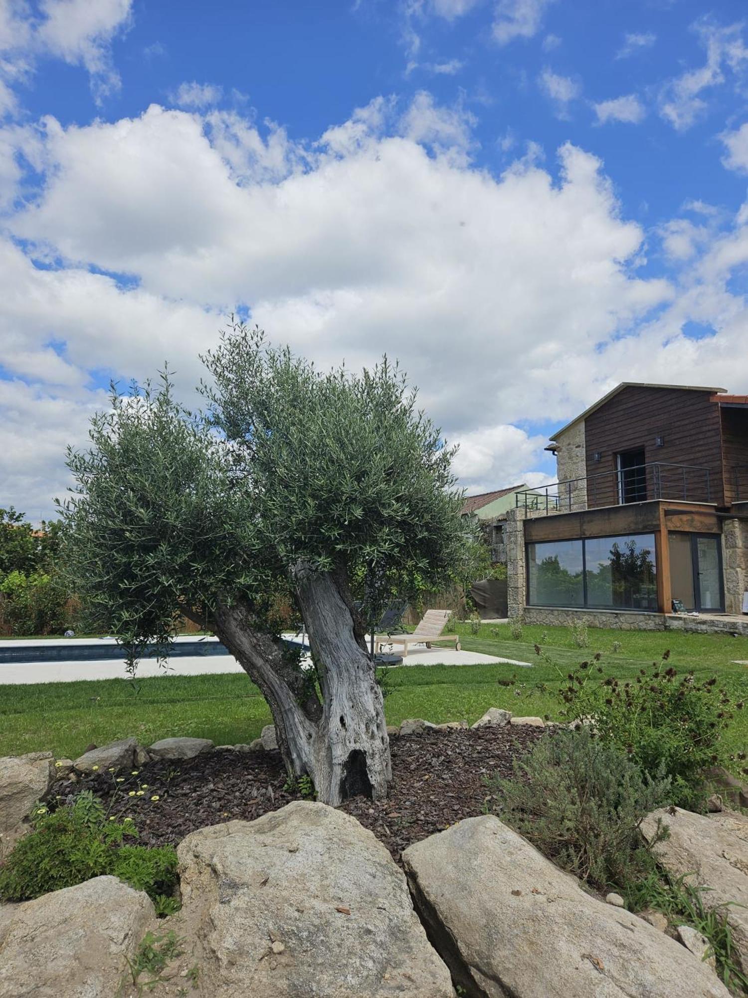 Casa Fonte Do Castelo - Holiday home